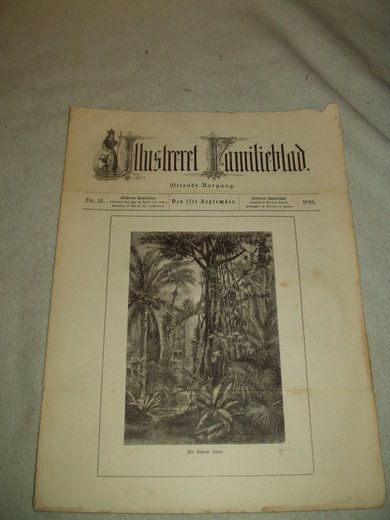 1894 nr 035 Illustrere Familieblad