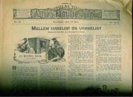 1906 nr 019 MELLEM VIRKELIGT OG UVIRKELIGT