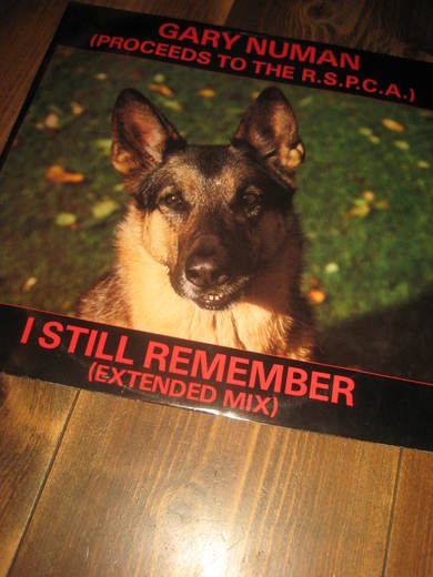 HUMAN GARY: I STILL REMEMBER NUM 21 1986