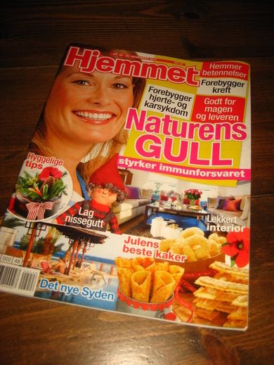 2010 nr 048 Hjemmet