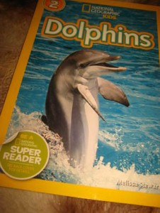 Dolphins. 