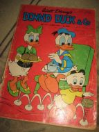 1973 nr 019 DONALD DUCK & CO