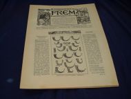 1901 nr 031 FREM Lys over land