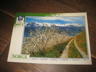 061 LOOC 1991 Fruktblomstring i Hardanger