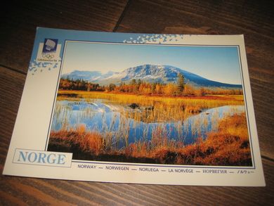 048 LOOC 1991 Skogshorn Hemsedal