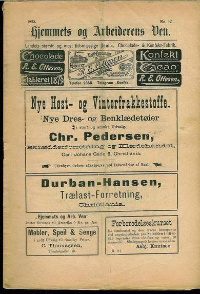 1893 nr 042 Hjemmets og Arbeidernes Ven
