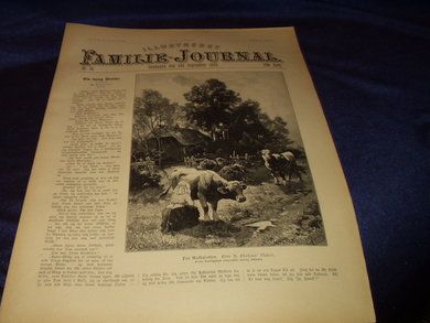1895 nr 036 Illustrert Familie - Journal