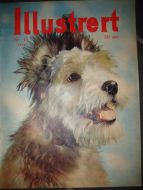 1955 nr 047 Illustrert