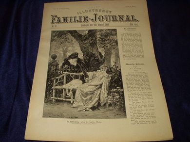 1896 nr 032 Illustreret Familie Journal