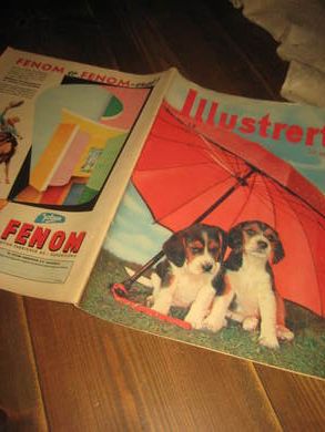 1956 nr 018 Illustrert
