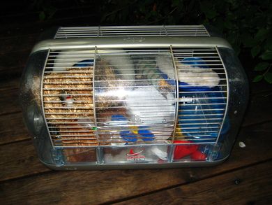 Kaninbur eller bur for ett annet dyr Living World Masse utstyr følger med