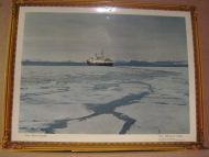 Hjemtur fra Svalbard M/S HARALD JARL Nr 12 i denne serien Foto: Herta Grøndal