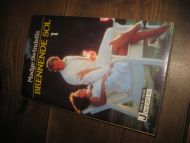 Swindells: BRENNENDE SOL I