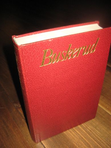 Buskerud 1977