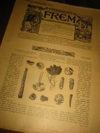 FREM. KUNDSKAB ER MAGT, 1905,nr 030.