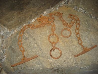 Festeredskap for dyr i bås? Tidelg 1900