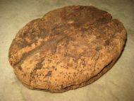 Megastor oval flytekork til garn 40-50 tallet Ca 24 cm i diameter