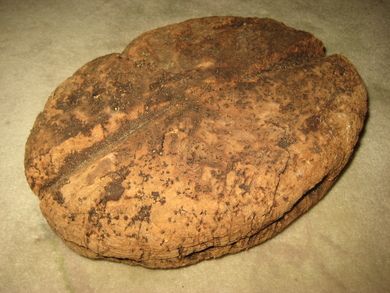 Megastor oval flytekork til garn 40-50 tallet Ca 24 cm i diameter