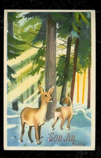 FANNREM 20.12.48