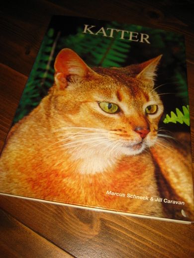 KATTER 1997