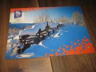 519 LOOC 1991 Skigard