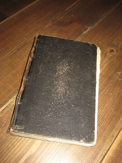 Vor Herres og Frelsers Jesu Christi Nye Testamente 1891