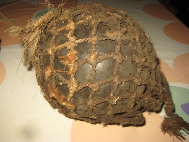 Megastor kavlkule ca 16 cm i diameter må vaskes litt