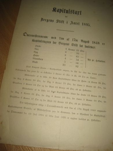 Kapitalstart for Bergens Stift i Aaret 1895