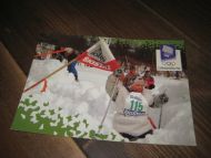 511 LOOC 1991 Skiglede og pågangsmot