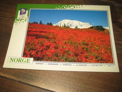 052 LOOC 1991 Høst i fjellet