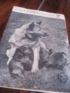 1965 nr 007 JAKT FISKE FRILUFTSLIV