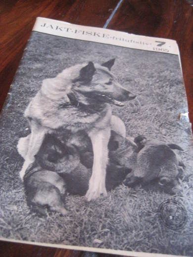 1965 nr 007 JAKT FISKE FRILUFTSLIV