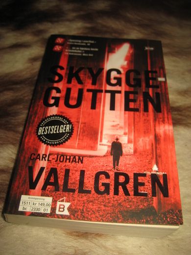VALLGREN: SKYGGE GUTTEN 2015