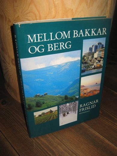 FRISLID RAGNAR: MELLOM BAKKAR OG BERG 1995