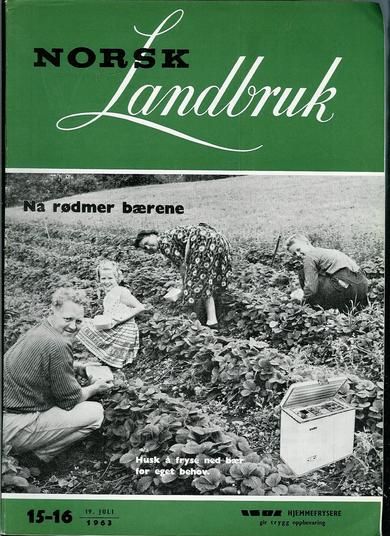 1963 nr 015 NORSK Landbruk