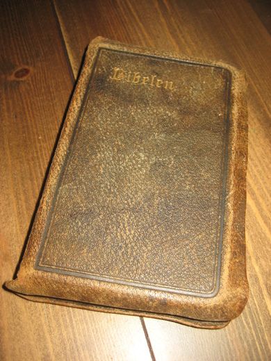 Bibelen eller Den Hellige Skrift indeholdende det Gamel og NyeTestaments kanoniske Bøger. 1903.