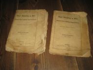 Syges Behandling og Pleie tilligemed Raad i adskillelige Sygdomstilfælde. Første og Anden levering 1881.