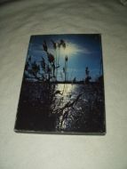 Minerva bilde fra 1972 Gatti: Rush in blue/ Siv i blått