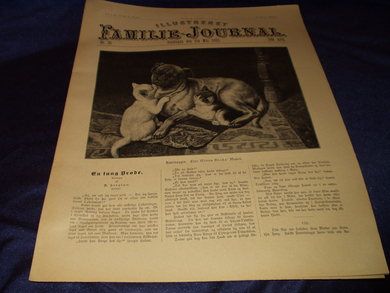 1895 nr 018 Illustrert Familie - Journal