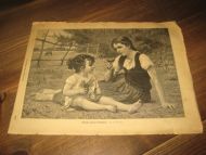 Blant engens blomster Fra blad fra år 1900 Ca 25*18 cm stort