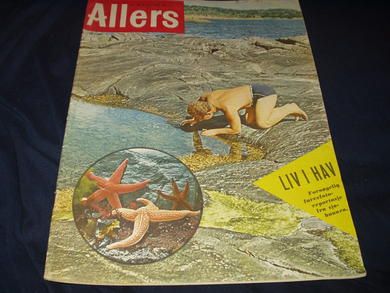 1960 nr 028 Allers