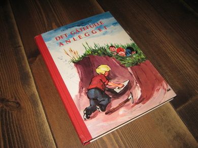 TURTUMØYGARD: DET GÅTEFULLE ANLEGGET. 1967.