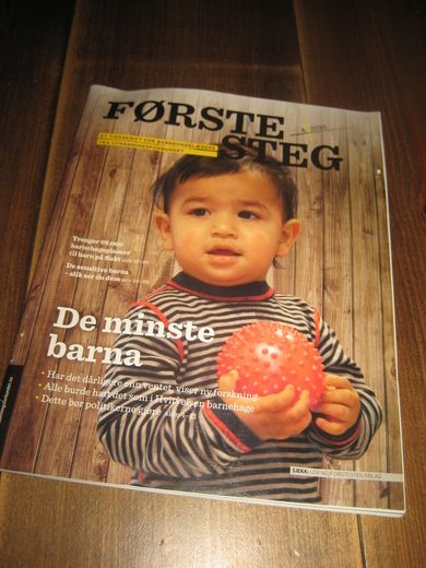 2015 NR 004 FØRSTE STEG
