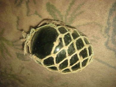 Gammel kavlkule brukt til garnfiske i gamle dager tykk type som er den minst vanlige Litt skade på seis