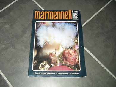 1984 nr 004 marmenell