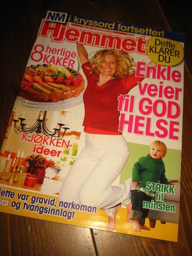 2008 nr 041 Hjemmet