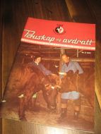 Buskap og avdrått, 1972,nr 006.