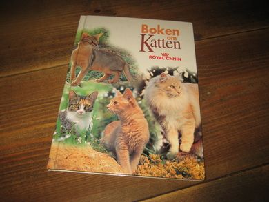 Boken om Katten 2000