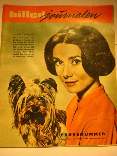 PRØVENUMMER billed journalen