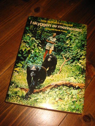 Goodall: I skyggen av mennesket 1972